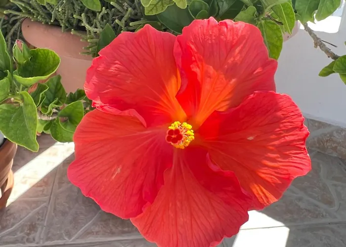 Verada House Daire Pera Gyalos